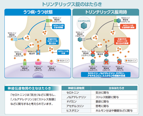 セロトニン受容体作動薬